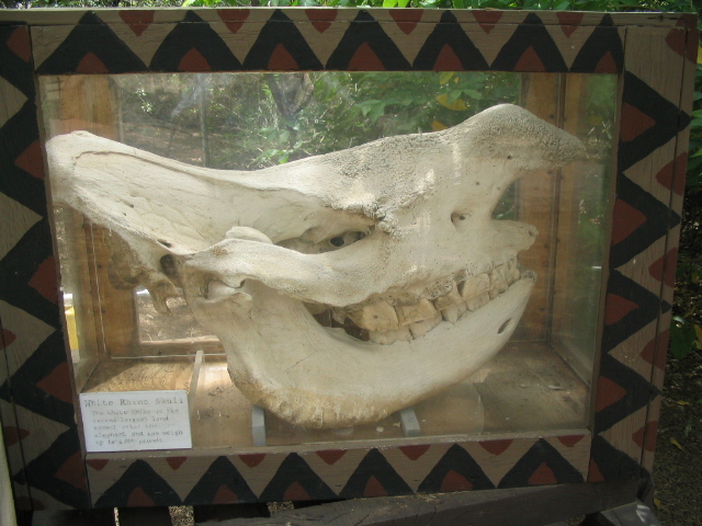 618x457 pixels (172K)